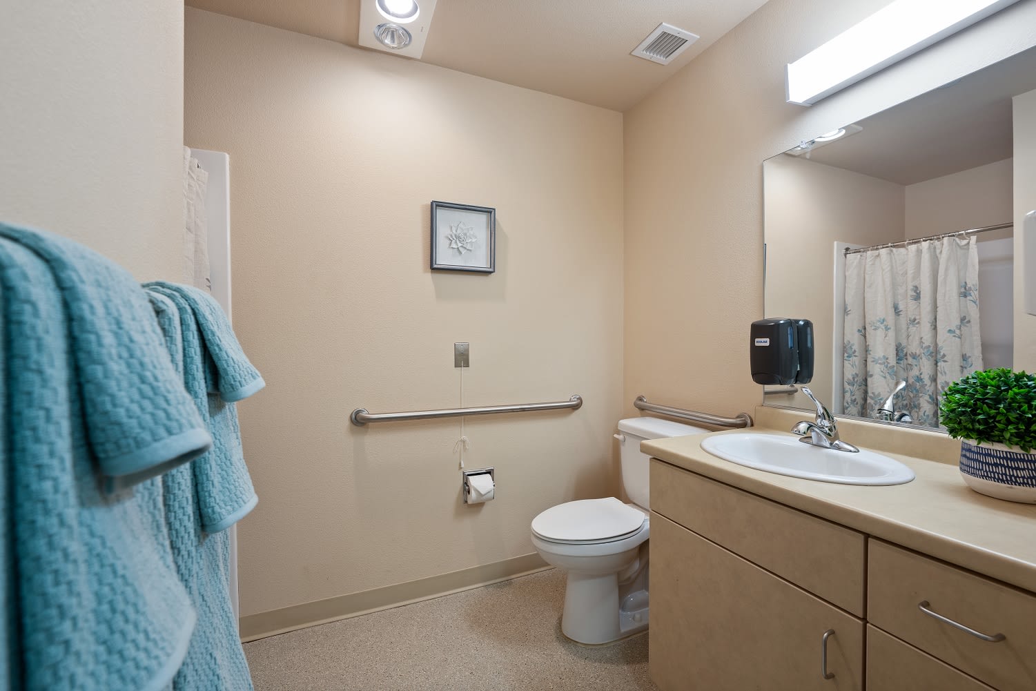 Caleo Bay Transitional Assisted Living and Memory Care bathroom