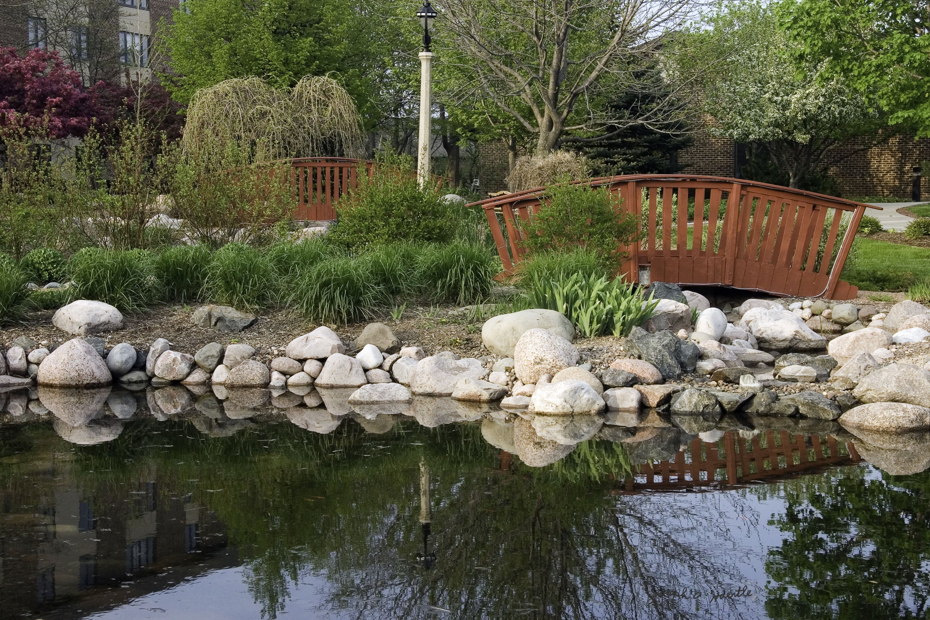 Ascension Living Alexian Village - Milwaukee (Independent Living) pond