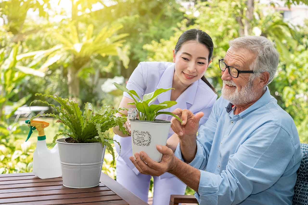 Lifetree Homecare Solutions 