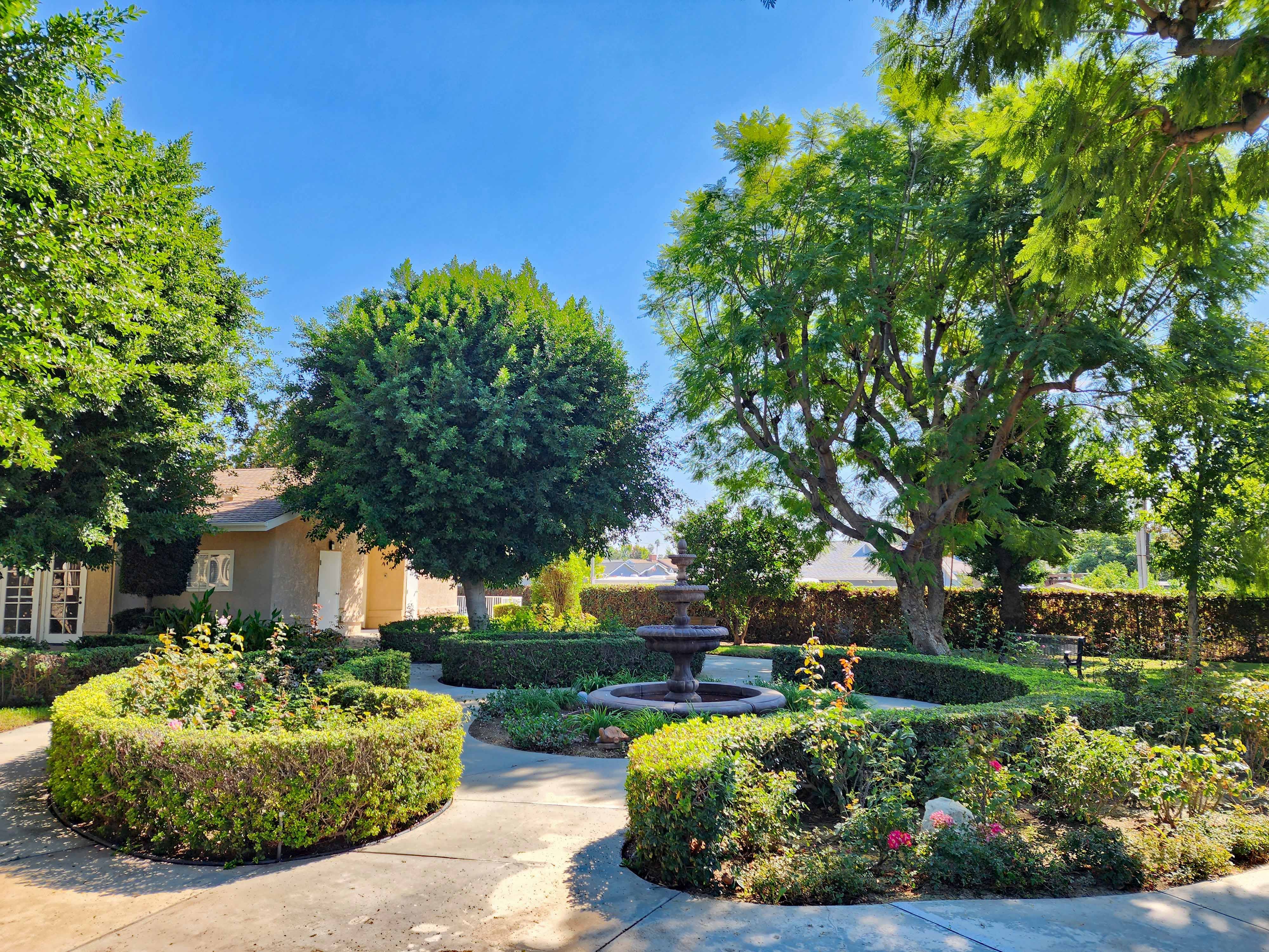 Ivy Terrace at Fullerton 