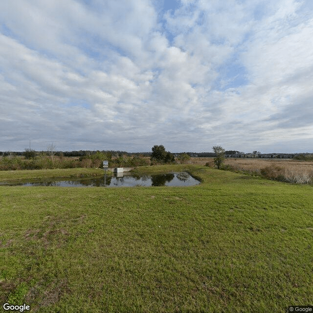 Photo of Blue Heron