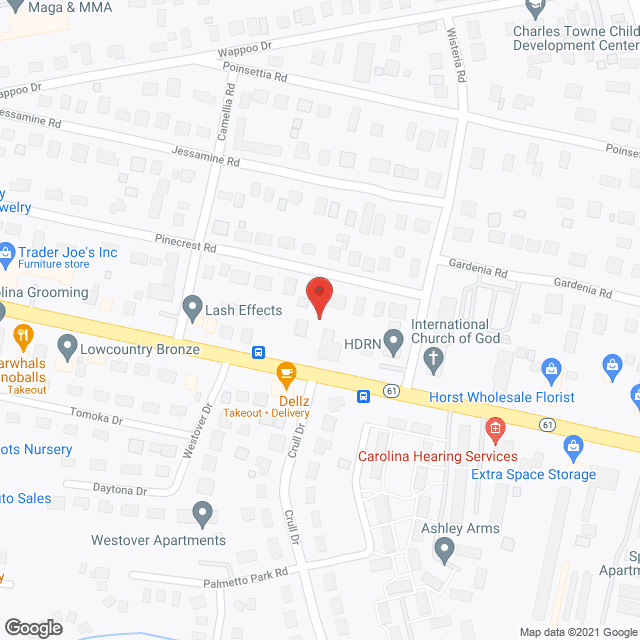 Home Instead - Charleston, SC in google map