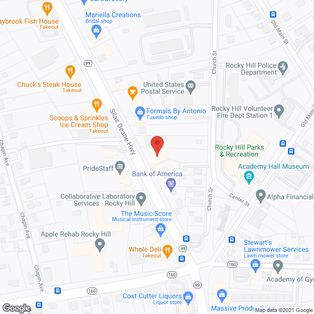 Premium Home Aids and Companions in google map