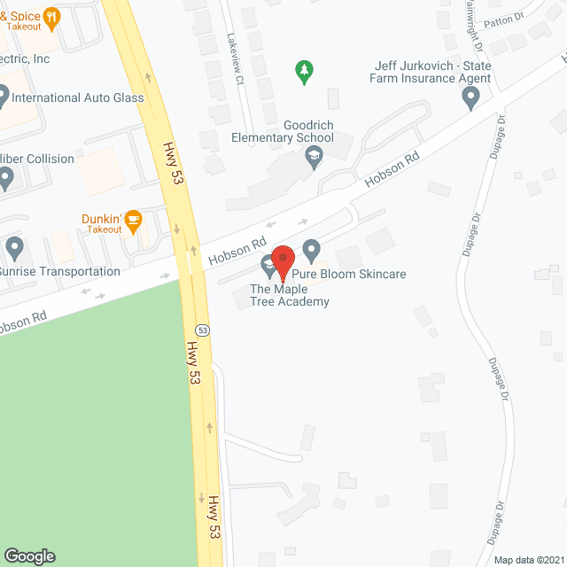 Wellspring Healthcare Services in google map