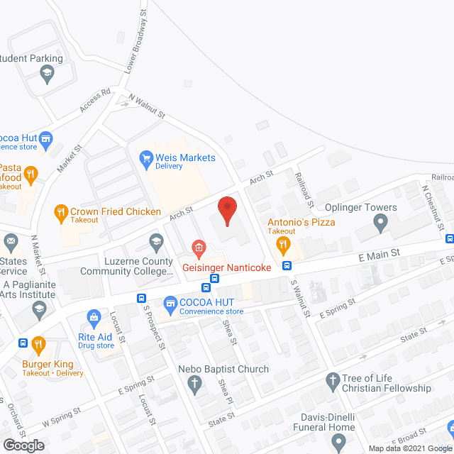 Nanticoke Villa in google map