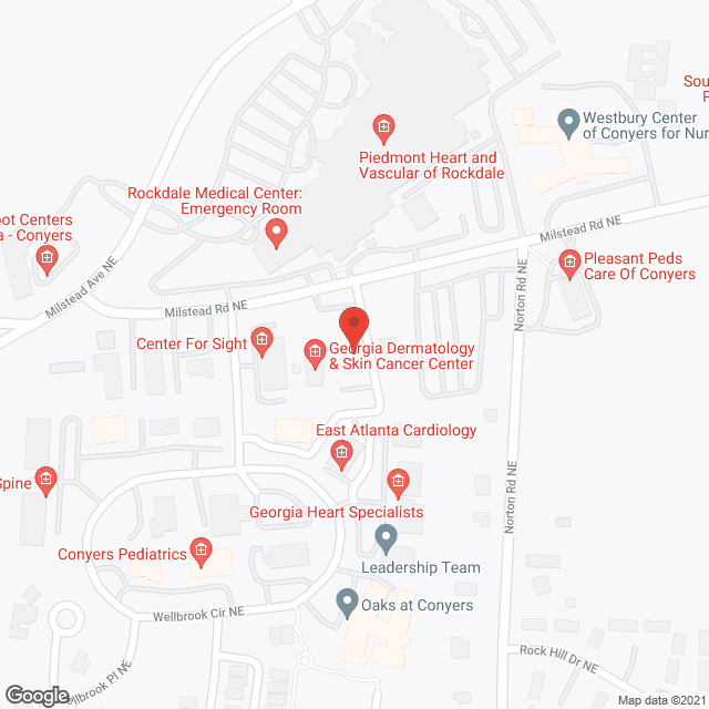 Georgia Nursing Services, Inc. in google map