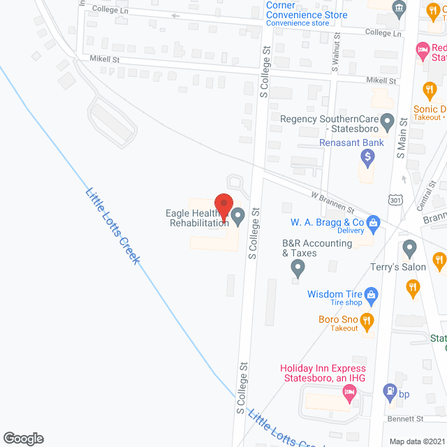 Statesboro Nursing Home in google map