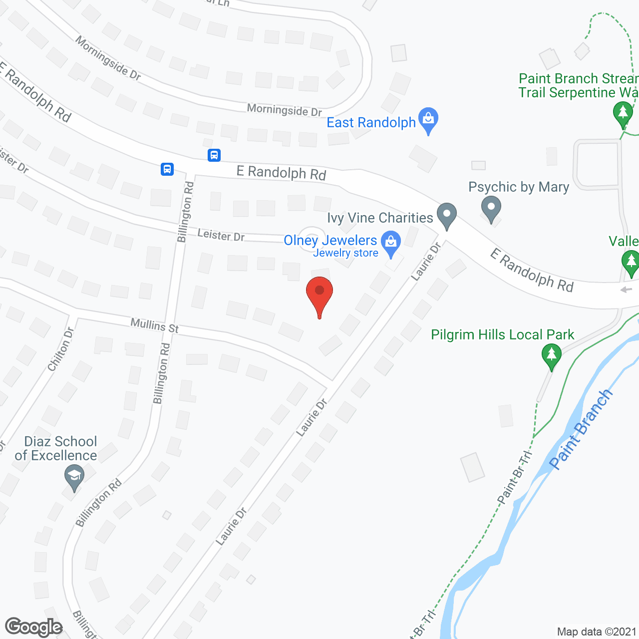 Serene Homestead, LLC in google map