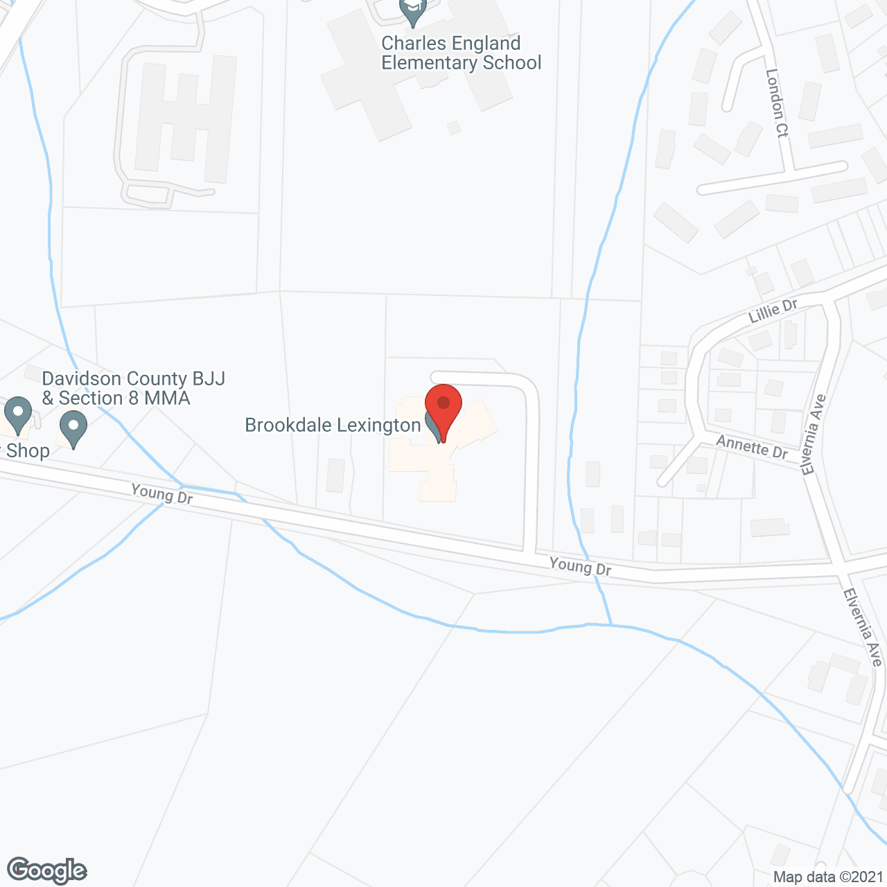 Brookdale Lexington in google map