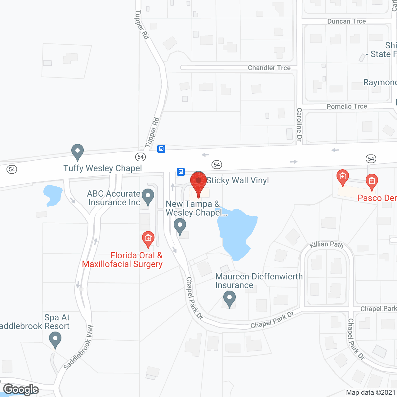 Home Instead - Wesley Chapel, FL in google map