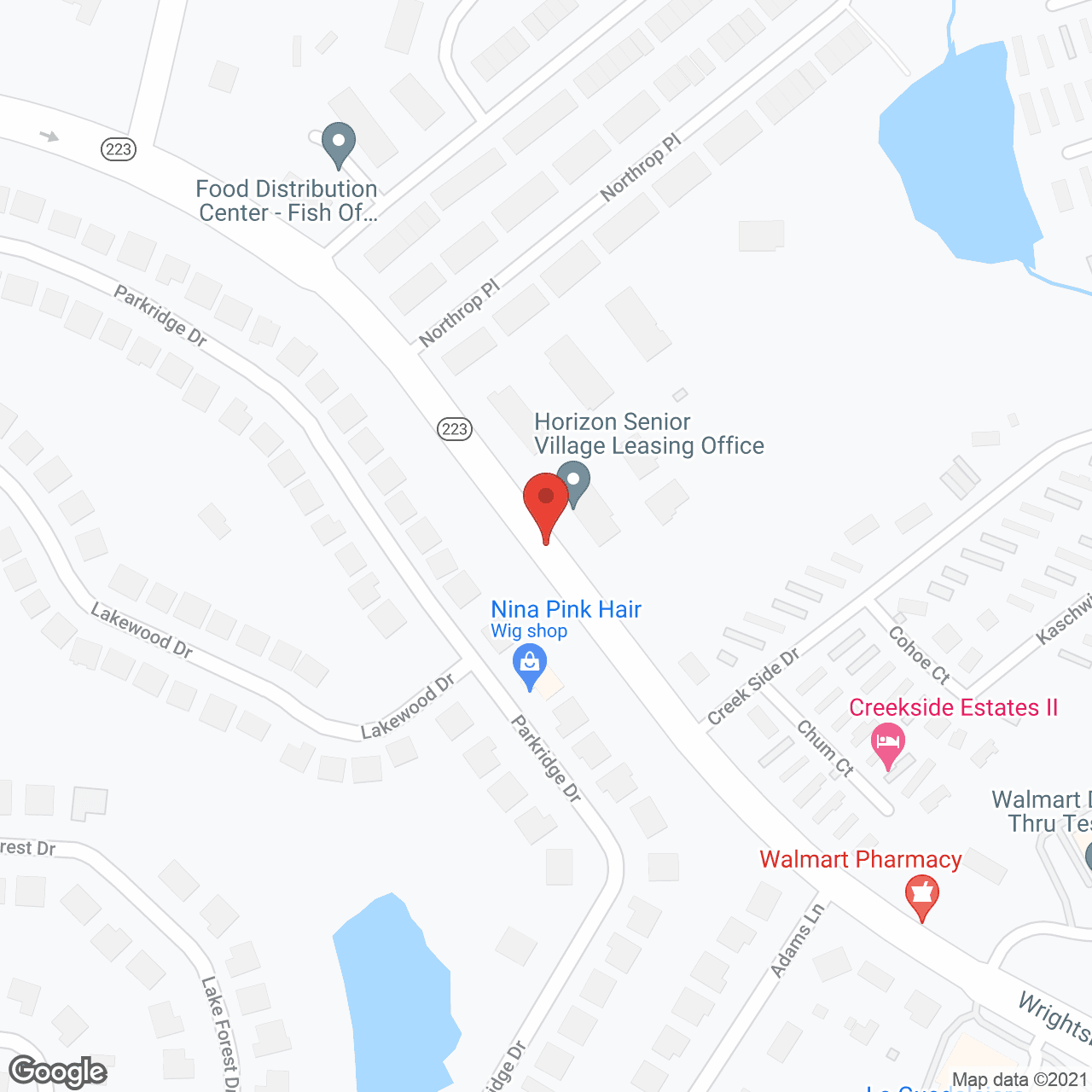 Horizon Senior Village in google map