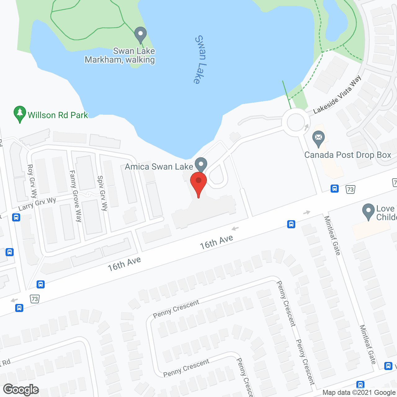 Amica Swan Lake in google map