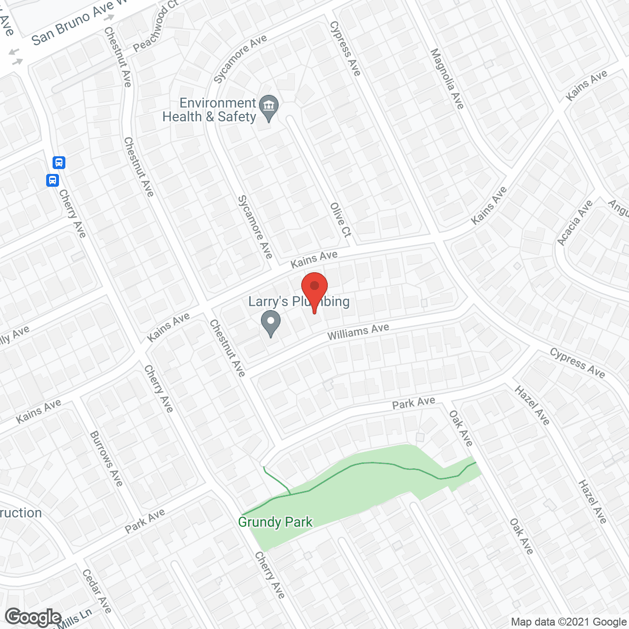 San Bruno Care Home in google map