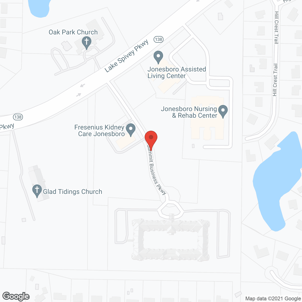 The Palms of Lake Spivey in google map