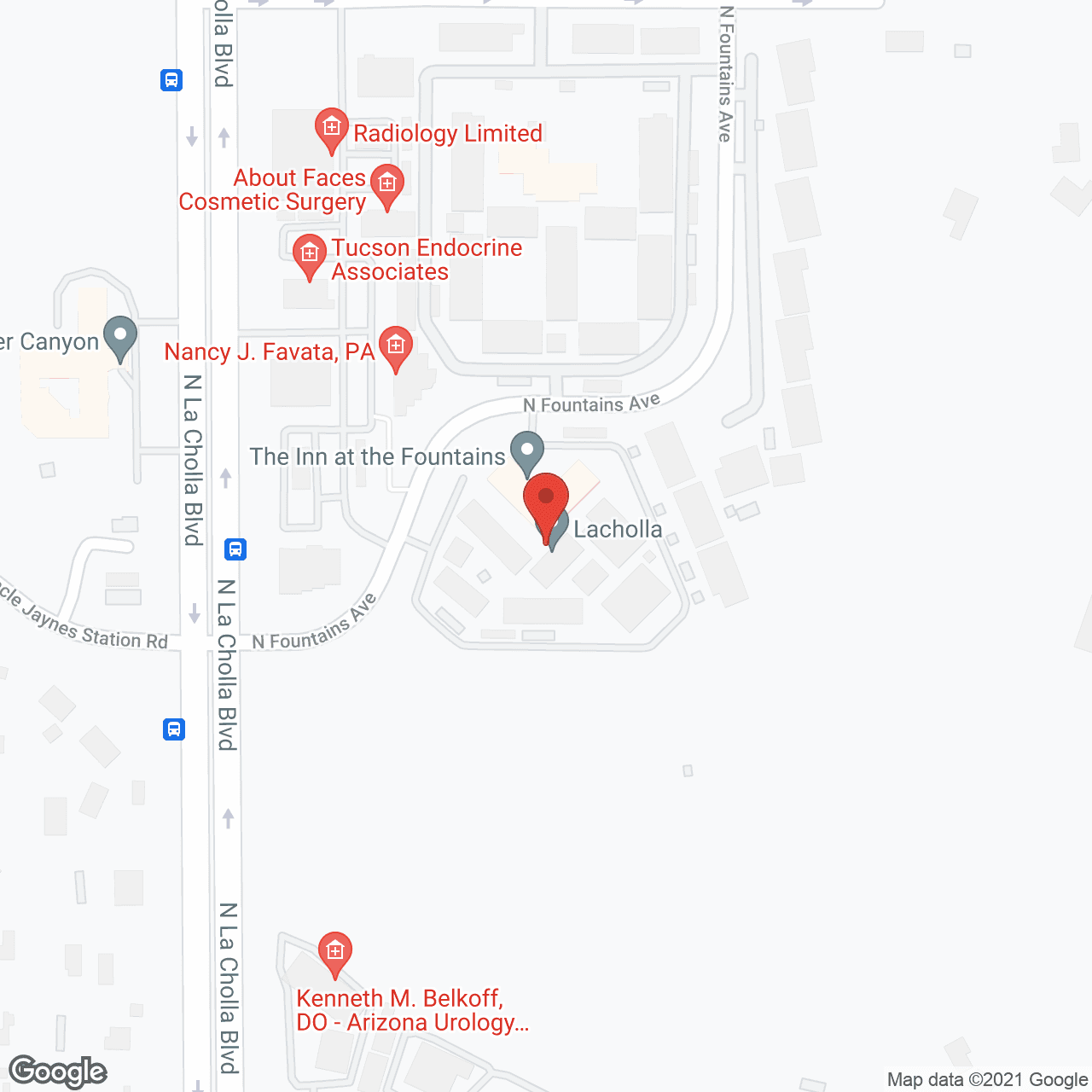 The Fountains at La Cholla in google map