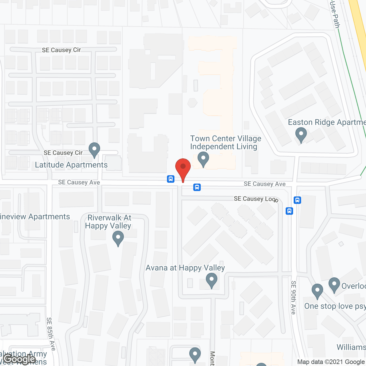 The Forum at Town Center in google map