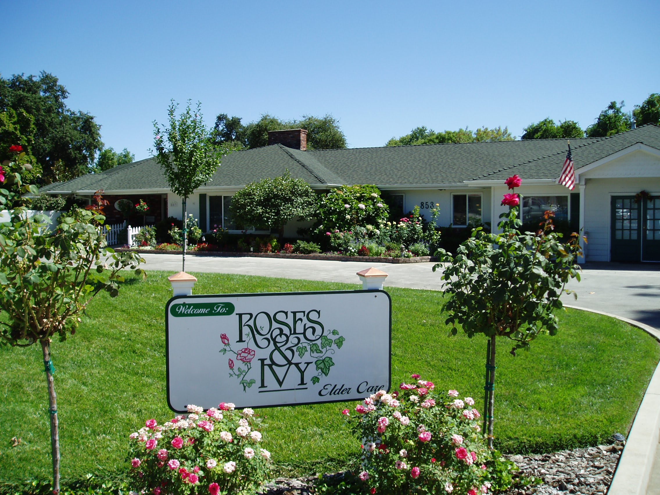 Roses And IVy Elder Care