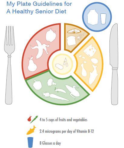 senior nutrition