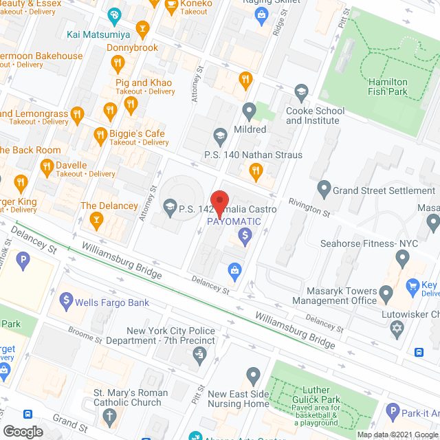 Ridge Street Gardens in google map