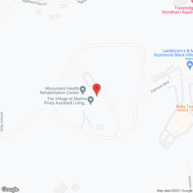 The Village at Skyline Pines in google map