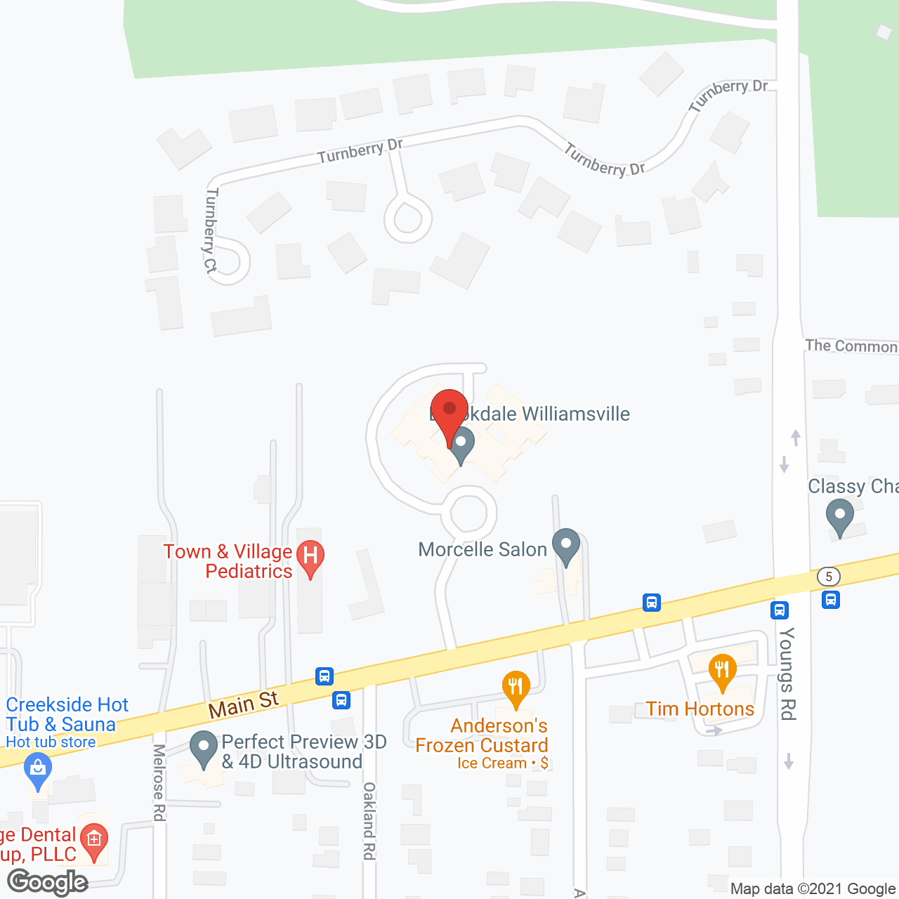 Brookdale Williamsville in google map