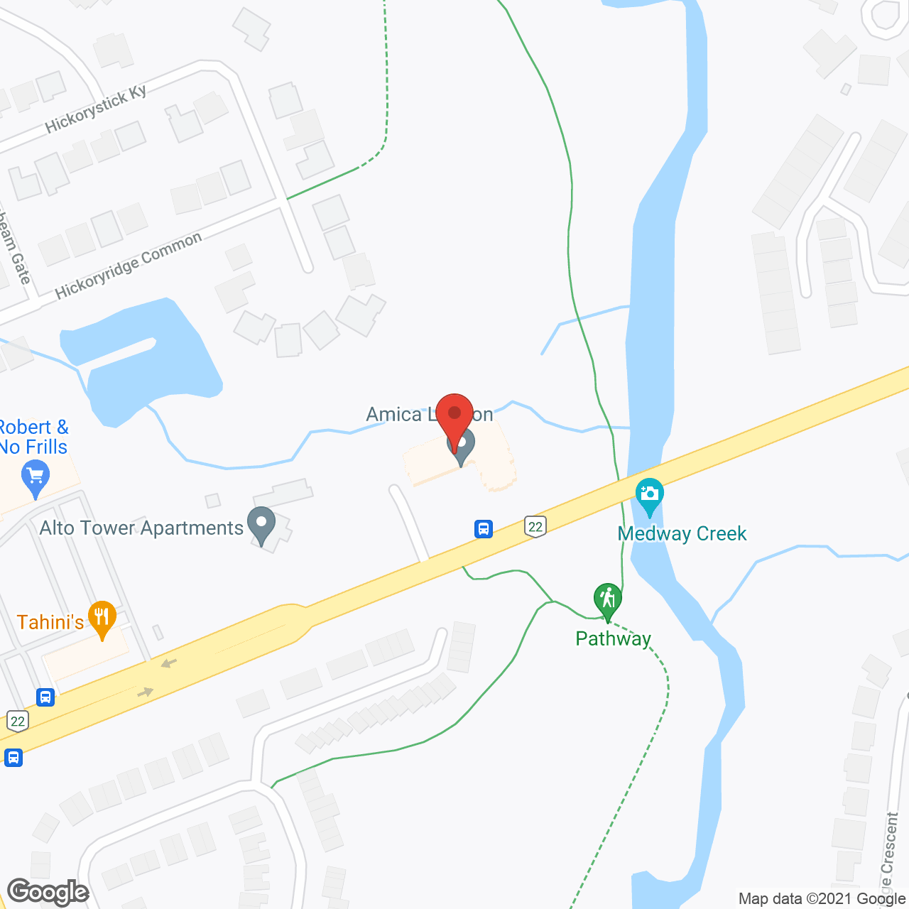Amica London in google map
