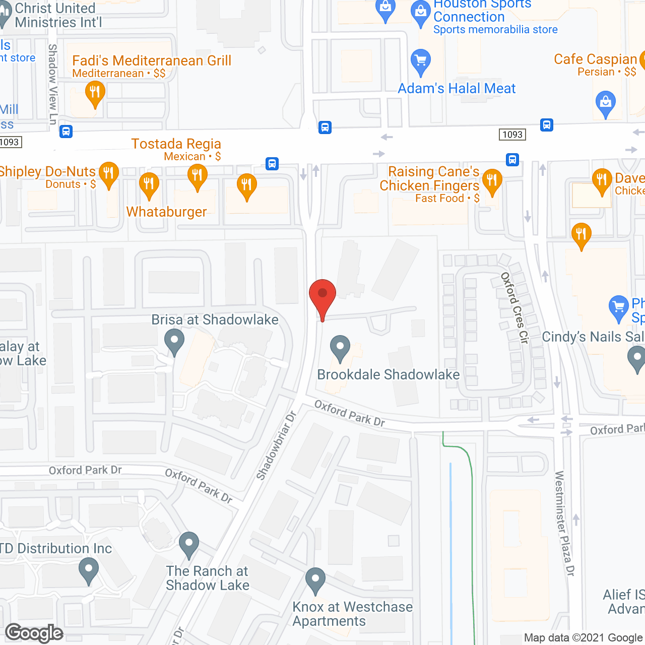 Brookdale Shadowlake in google map