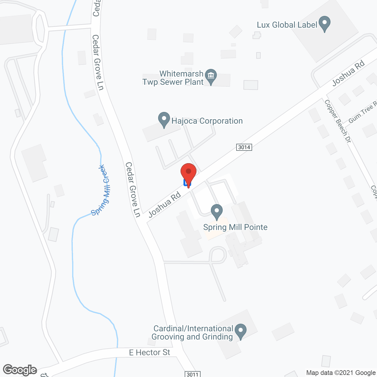 Spring Mill Pointe in google map