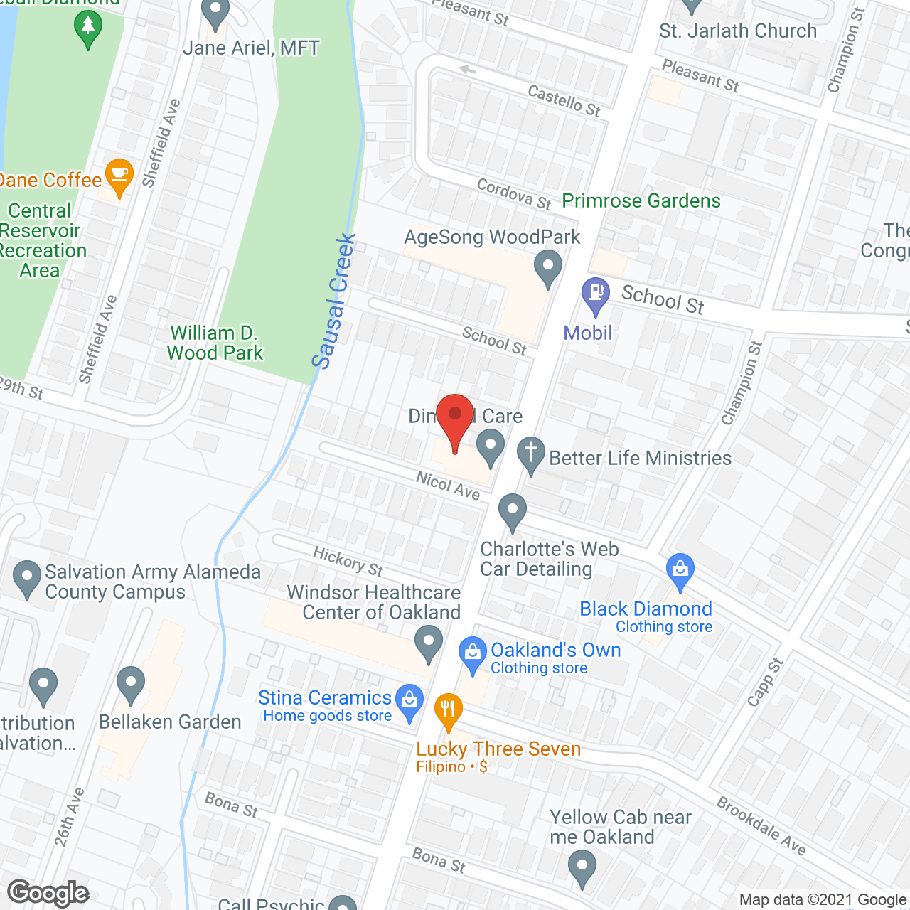 Dimond Care in google map