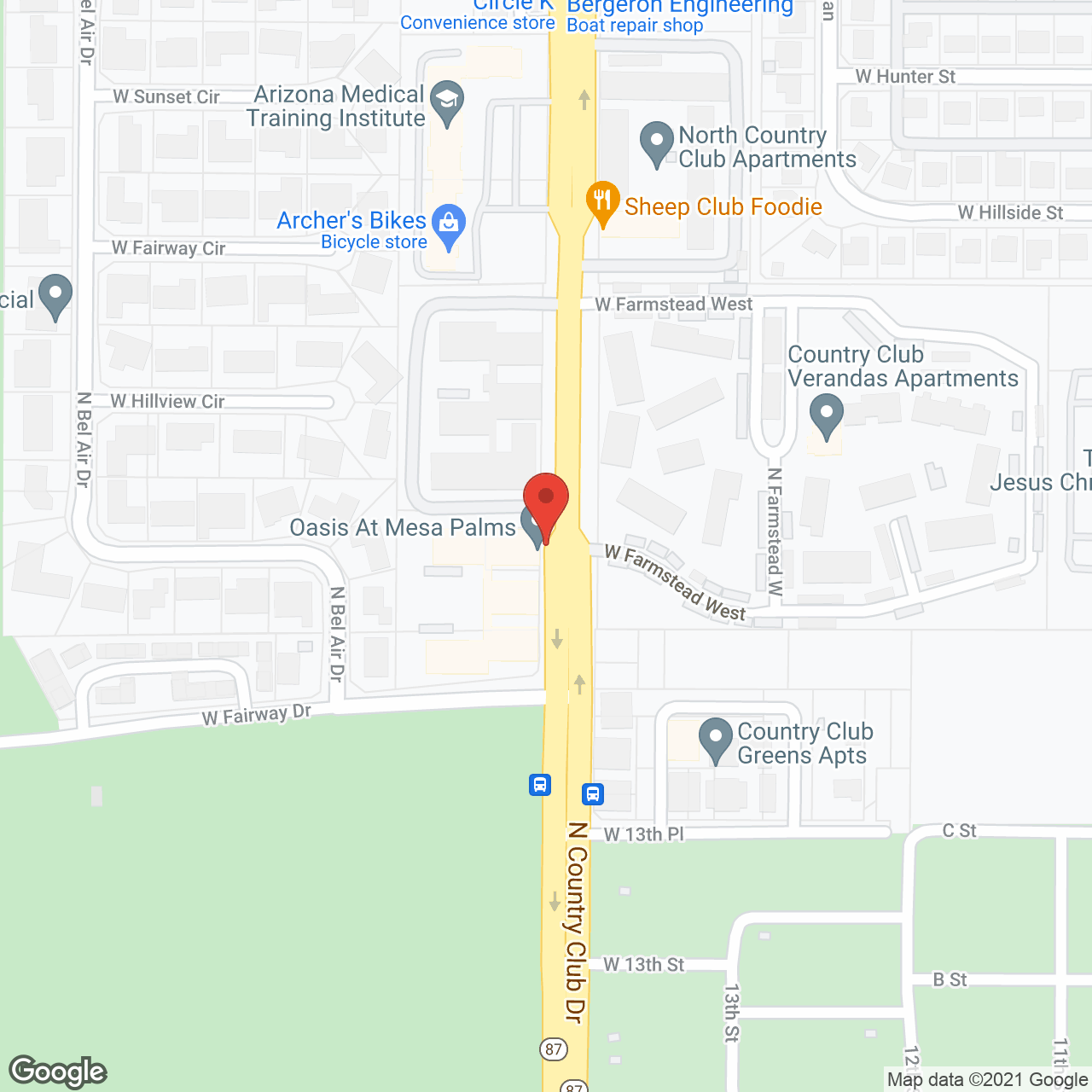 Oasis at Mesa Palms in google map