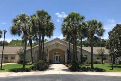 Day And Evening Pet Hospital Palm Harbor Fl