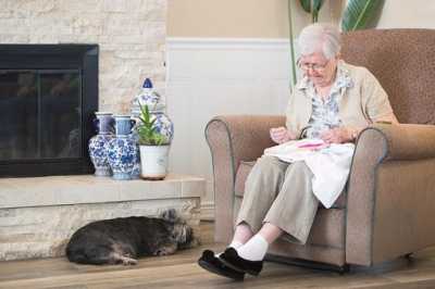 Photo of Graceful Living Senior Care