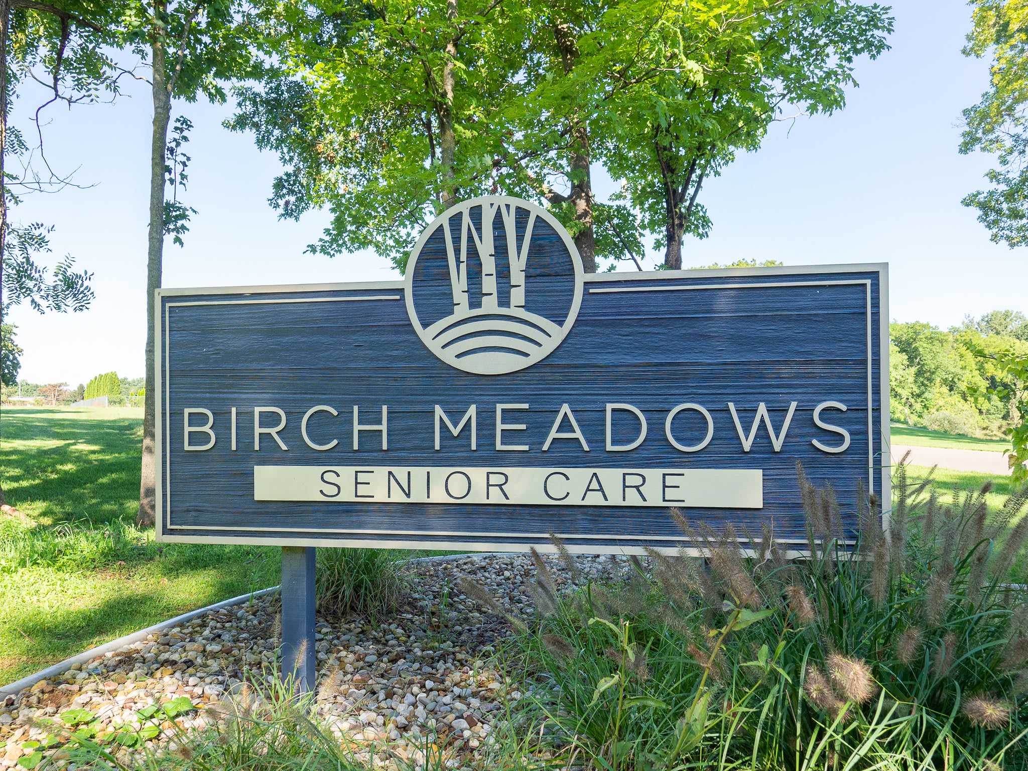 Birch Meadows 