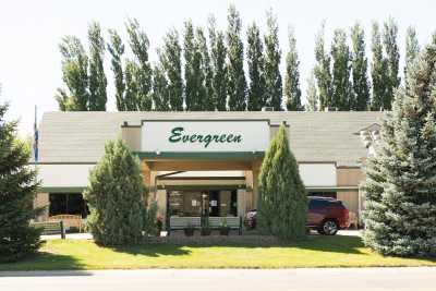 Photo of Evergreen-Dickinson