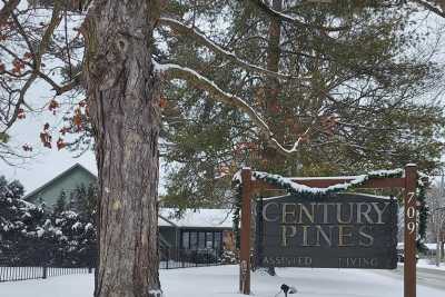 Photo of Century Pines