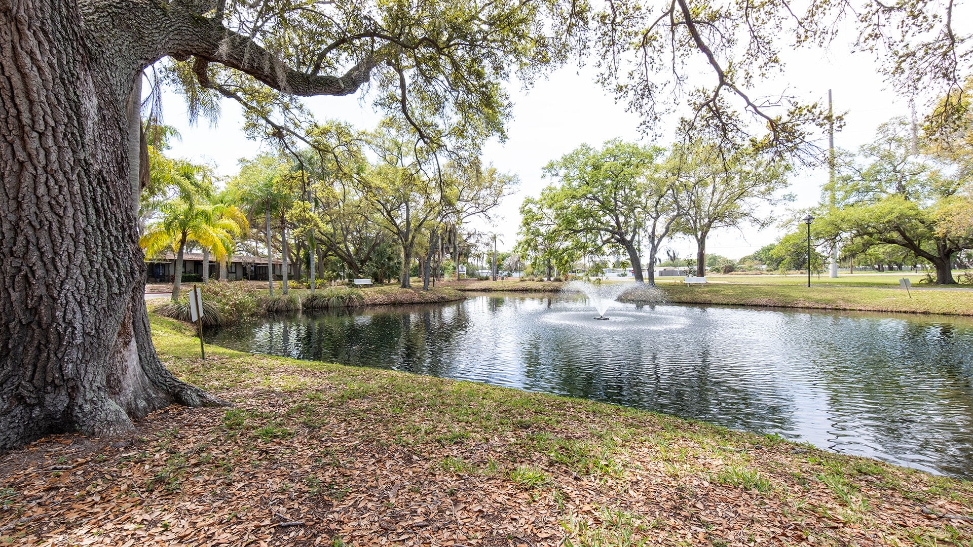 Photo of Holiday Woodlands Village