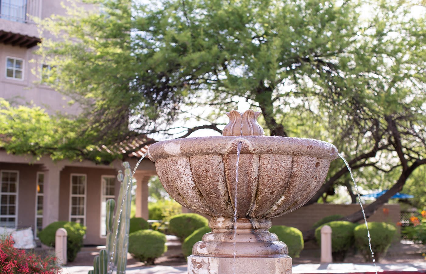 The Fountains at La Cholla