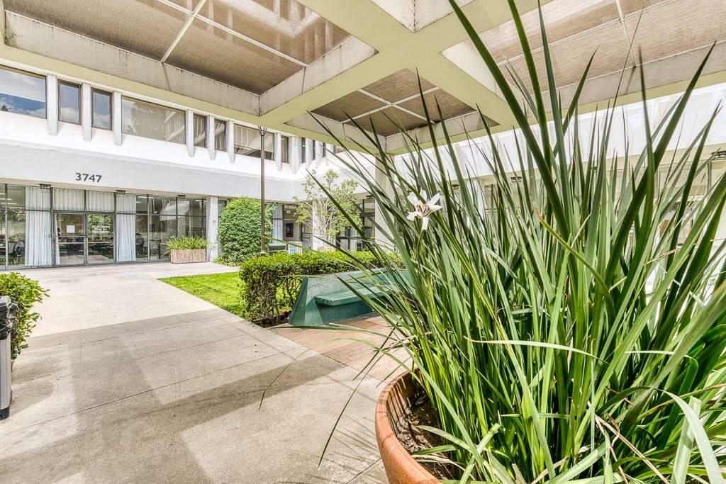Photo of Bay Towers at Bixby Knolls