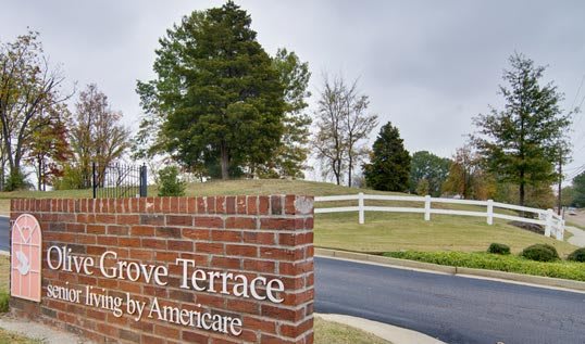 Photo of Olive Grove Terrace and Arbors at Olive Grove