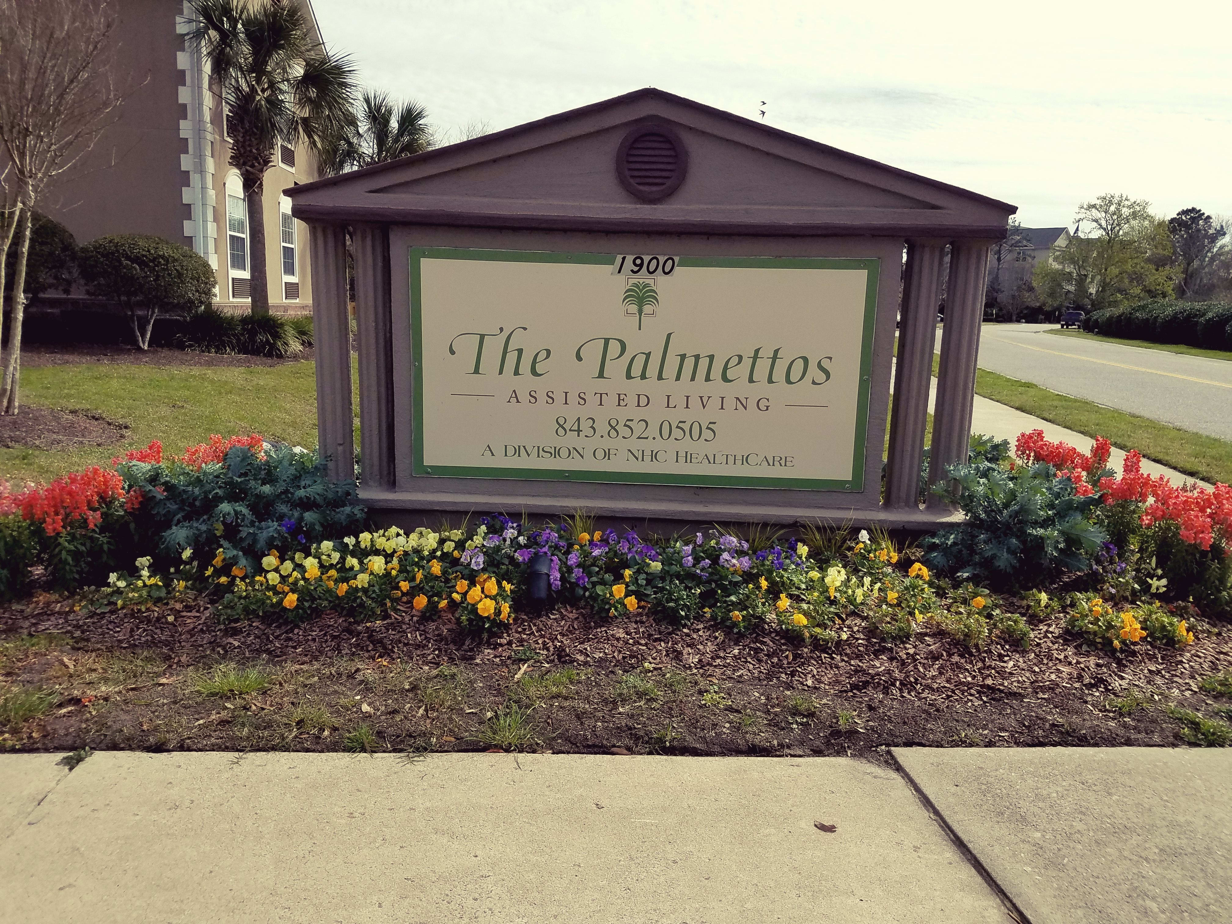The Palmettos of Charleston