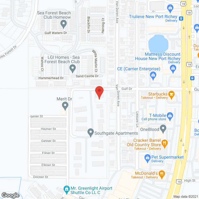 Senior Helpers - New Port Richey, FL in google map