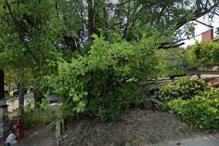 street view of Aegis Mercer Island