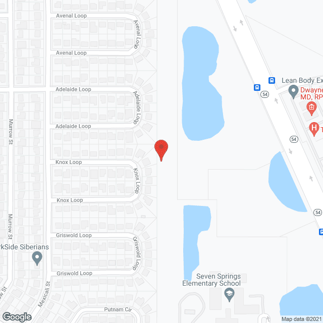 Home Helpers Home Care of Westchase, FL in google map