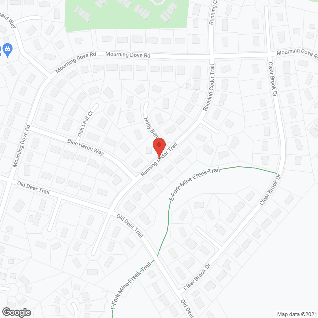 Nurturing Nest Family Care Home LLC in google map