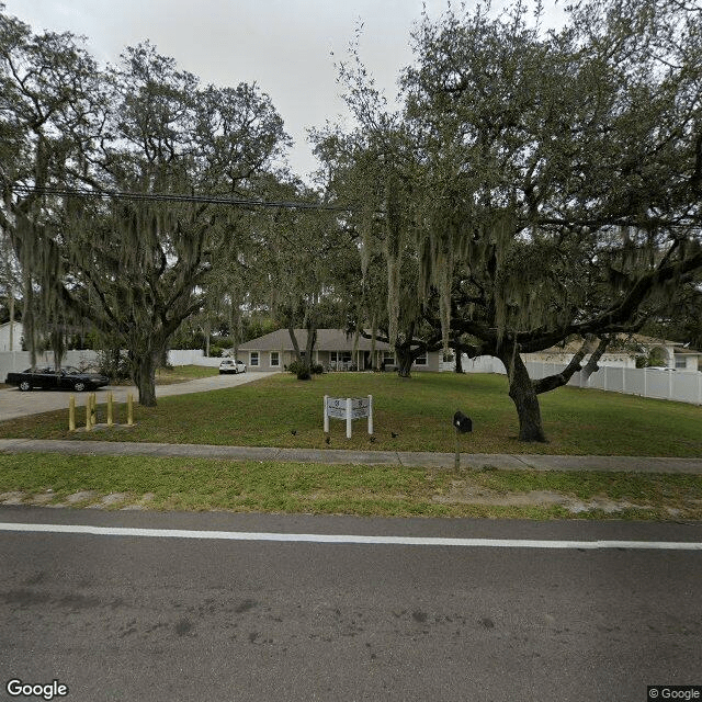 street view of Park View Estate Of Brandon