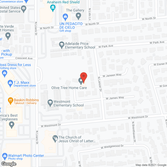 Olive Tree Home Care in google map