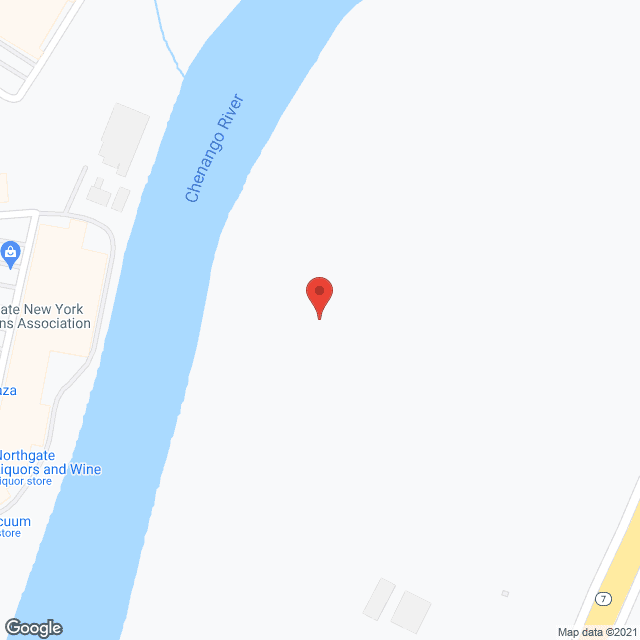 Home Instead - Binghamton, NY in google map