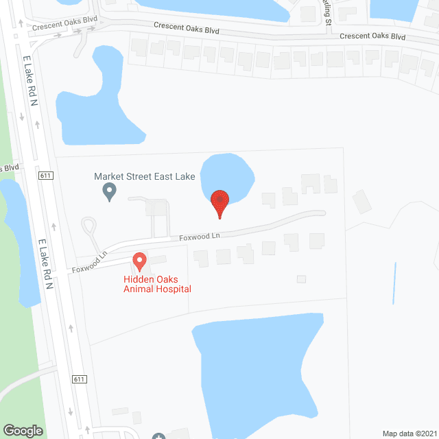 Market Street Tampa in google map