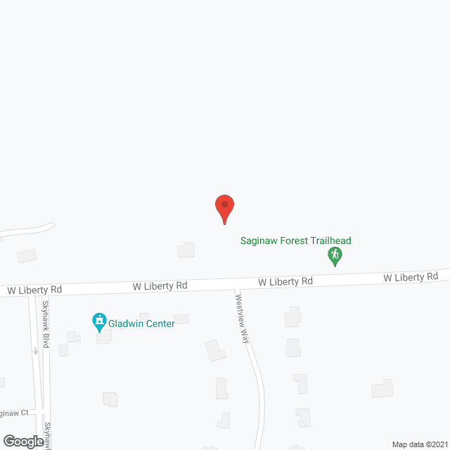 Regency at Bluffs Park in google map