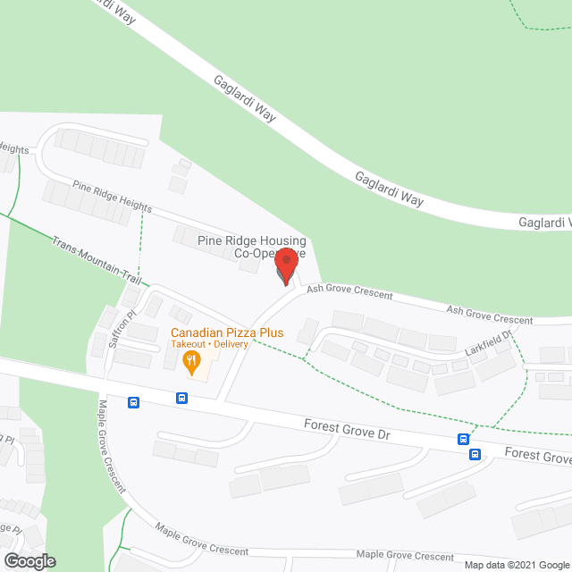 Pine Ridge Co-Op in google map